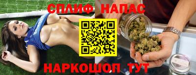 скорость Новозыбков