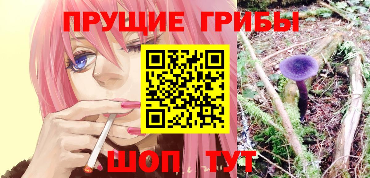 Галлюциногенные грибы Magic Shrooms Тосно